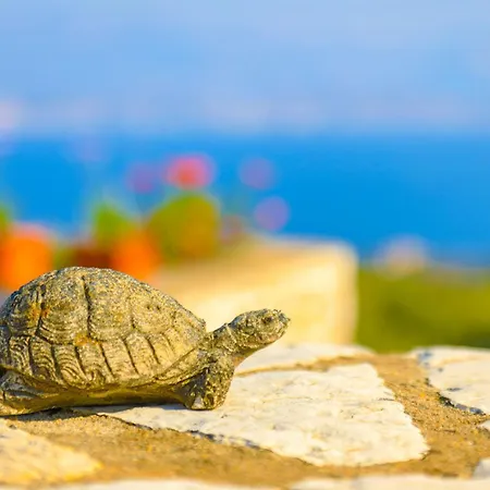 Vila Helona Kassiopi